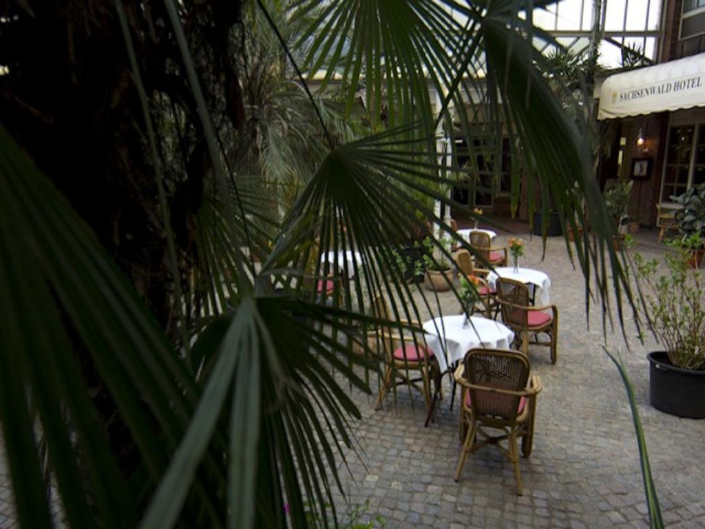 Sachsenwald Hotel راينبك المظهر الخارجي الصورة
